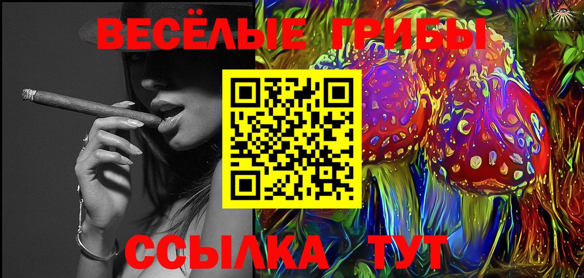 Псилоцибиновые грибы MAGIC MUSHROOMS  Вход с VPN  Артём 